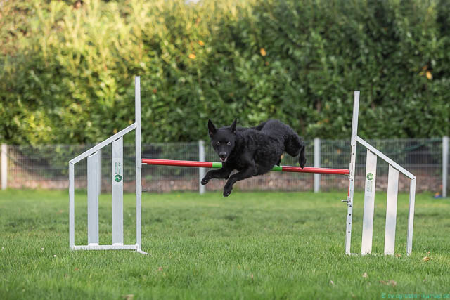Agility_33