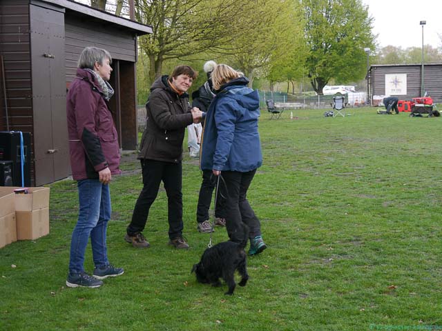 Agi-Turnier 14.04.2019_28
