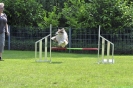 Agi-Turnier 04.06.2016_111 Agi-Turnier 04.06.2016_111