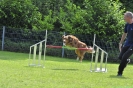 Agi-Turnier 04.06.2016_134 Agi-Turnier 04.06.2016_134