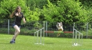 Agi-Turnier 04.06.2016_171 Agi-Turnier 04.06.2016_171