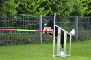 Agi-Turnier 04.06.2016_35 Agi-Turnier 04.06.2016_35