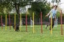 Agility_15