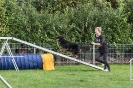 Agility_28