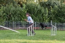 Agility_30