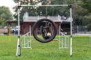 Agility_45