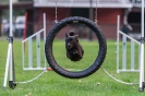 Agility_48