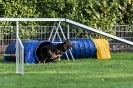 Agility_8 Agility_8