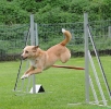 NRC_2012_33
