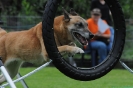 NRC_2012_57 NRC_2012_57