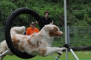 NRC_2012_58 NRC_2012_58