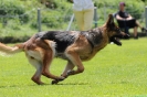 NRC_2012_66 NRC_2012_66